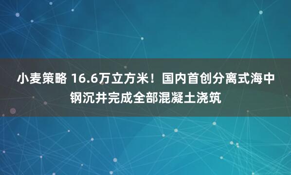 小麦策略 16.6万立方米！国内首创分离式海中钢沉井完成全部混凝土浇筑