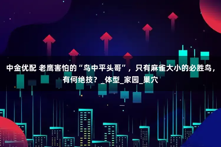 中金优配 老鹰害怕的“鸟中平头哥”，只有麻雀大小的必胜鸟，有何绝技？_体型_家园_巢穴