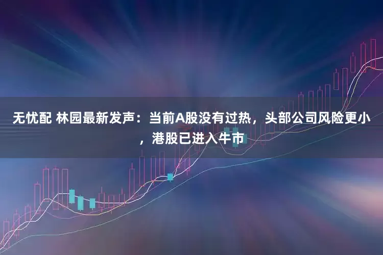 无忧配 林园最新发声：当前A股没有过热，头部公司风险更小，港股已进入牛市