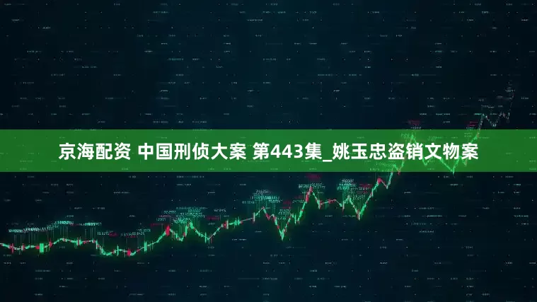 京海配资 中国刑侦大案 第443集_姚玉忠盗销文物案